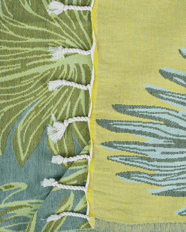 Agave