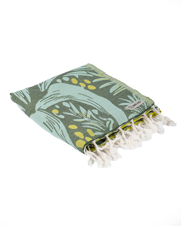Agave
