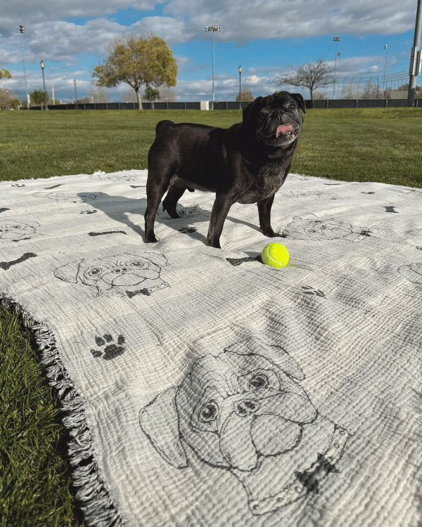 Pug – PARTY BLANKET™