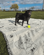 Pug – PARTY BLANKET™