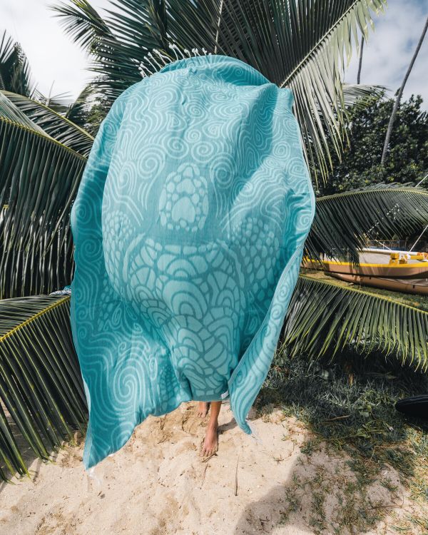 Swirl Turtle
