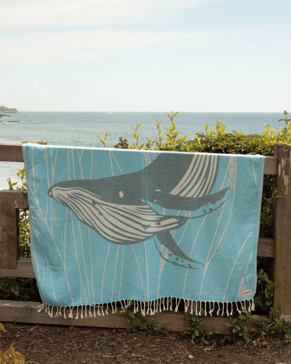 Whaley – Large