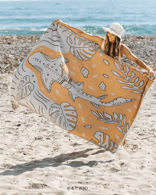 Monstera Shark Large – Discovery